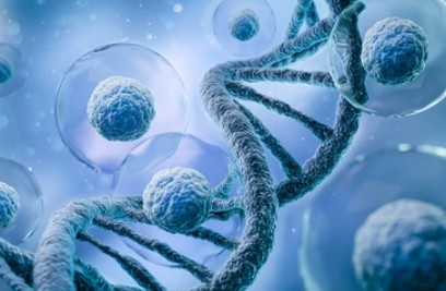 ABCC1 Turns into a Key 'Barrier' For Cancer Cells to Resist PROTAC Therapy