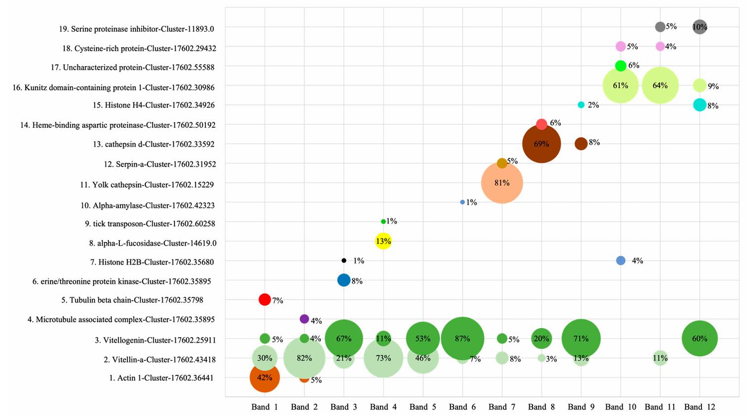 Fig. 1. Top 4 most prominent proteins identified in 12 bands from day-one eggs.
