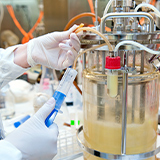 Yeast System