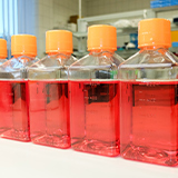 Cell-free