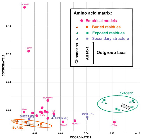 Fig2. Multidimensional scaling plot showing the Euclidean distances between various amino acids exchange rate matrices. (Pandey,
                          et al
                          ., 2020)
