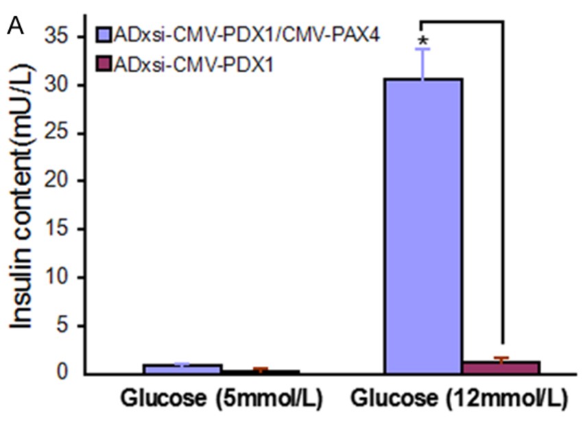 Fig1. Detection of the phosphorylated and dephosphorylated form of HMGCR from WT Tregs. (Ram Hari Pokhrel, 2021)