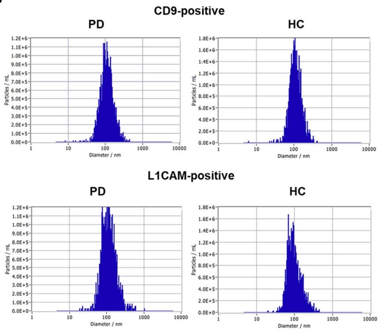 Fig1. Characteristics of the isolated CD9- or L1CAM-positive exosomes by magnetic beads conjugated with antibodies.
        The distribution of size and concentration of exosomes.