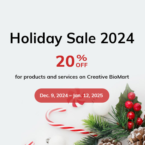 Holiday Sale 2024
